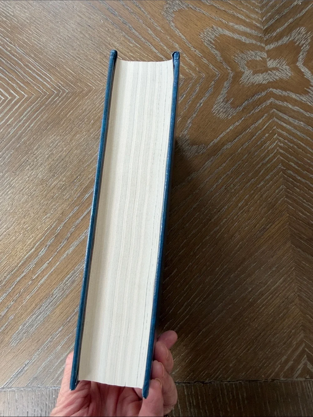 Great Biographies Hardcover – Deep Blue